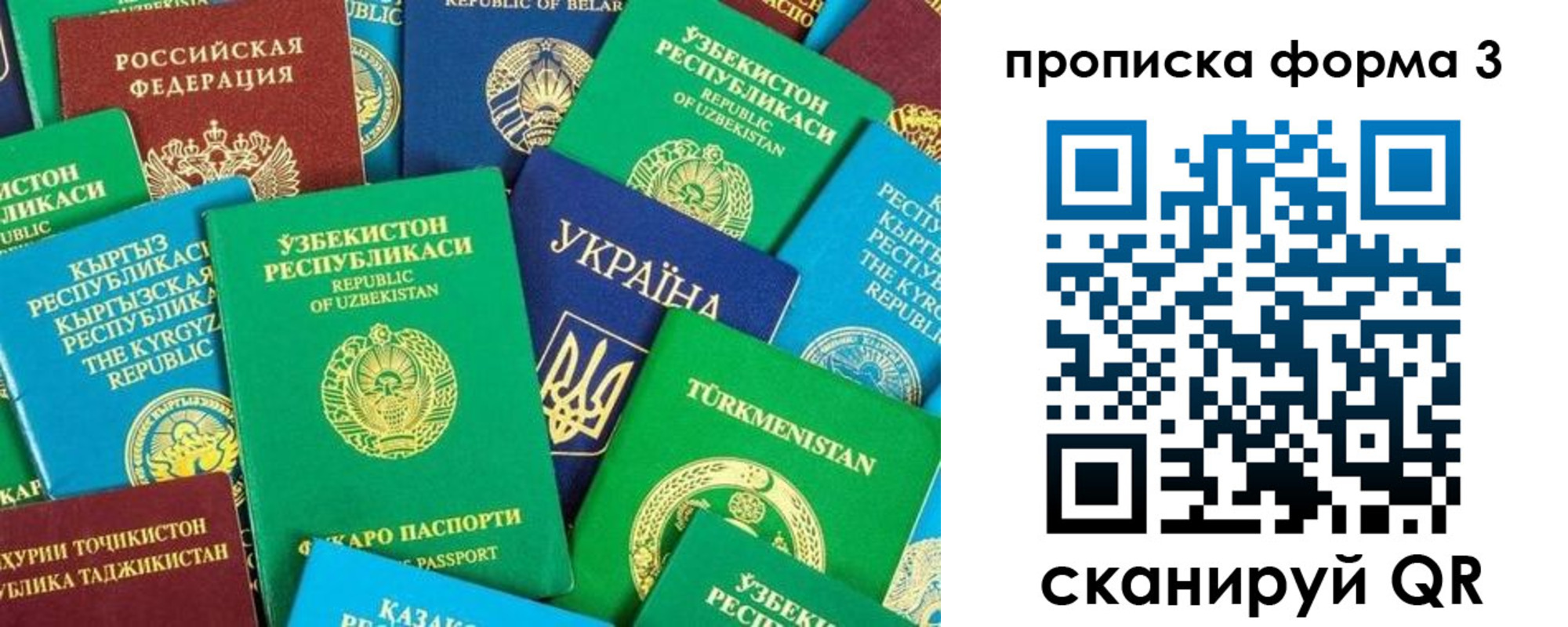 регистрация в Покрове